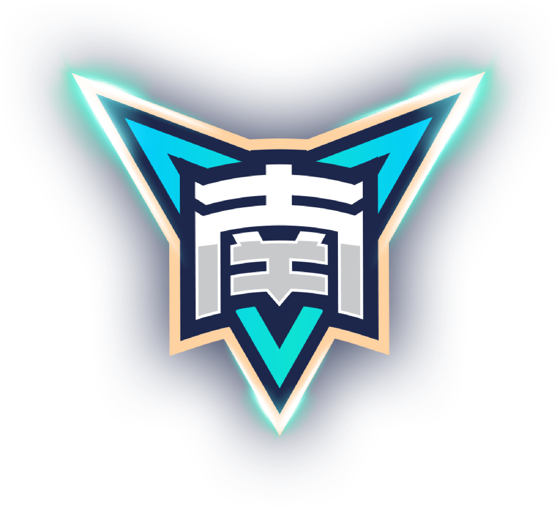 明尼苏达森林狼